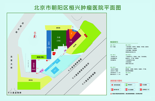 大鸡巴好爱操北京市朝阳区桓兴肿瘤医院平面图